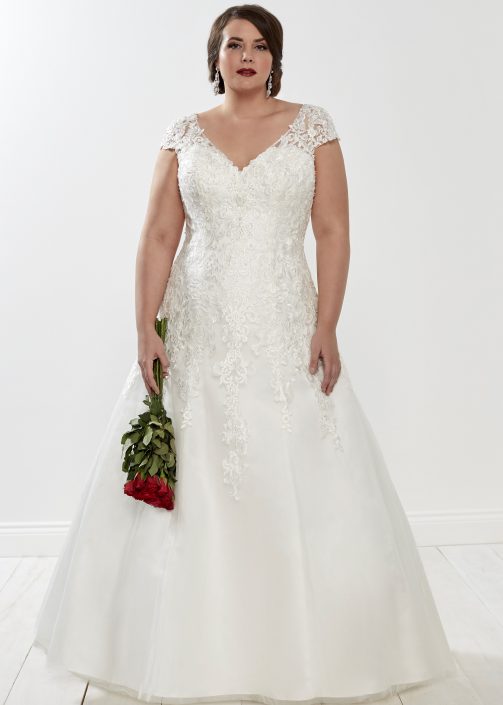 Venus Ann now £699